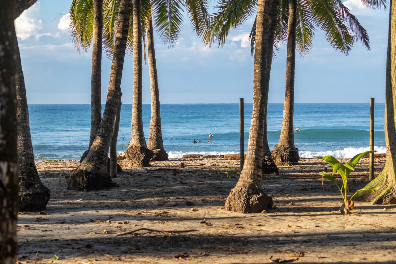 Prime Beachfront Concession Land, Santa Teresa, Puntarenas