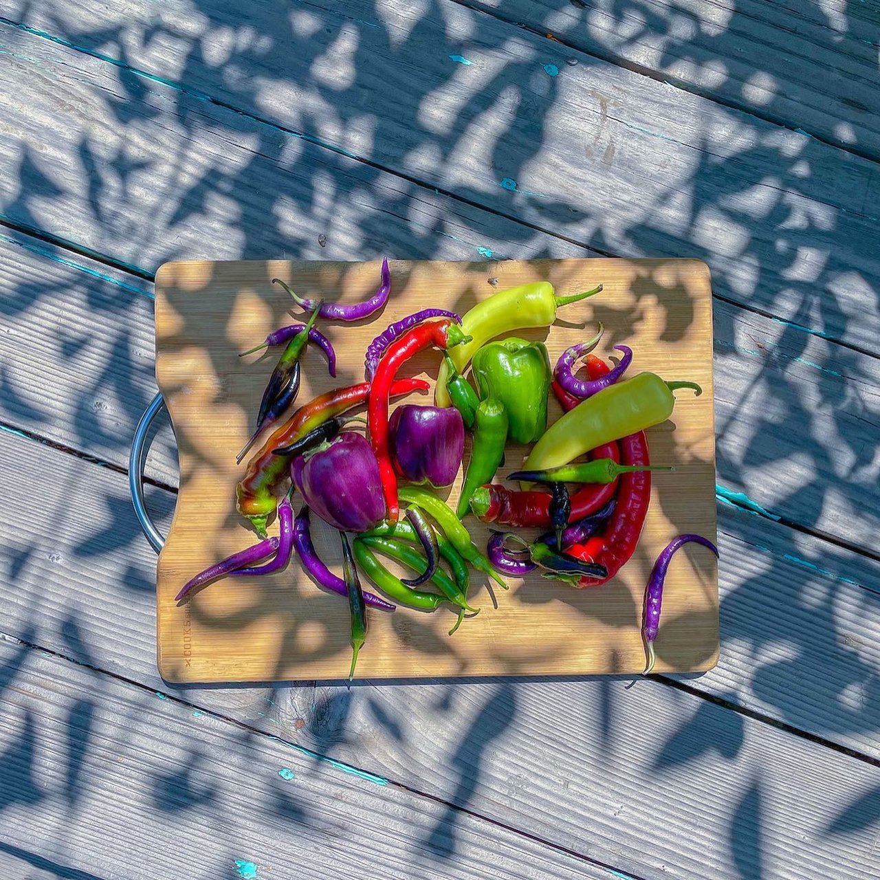 An Introduction to Urban Agriculture