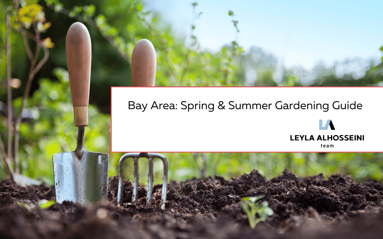 Bay Area: Spring and Summer Gardening Guide 