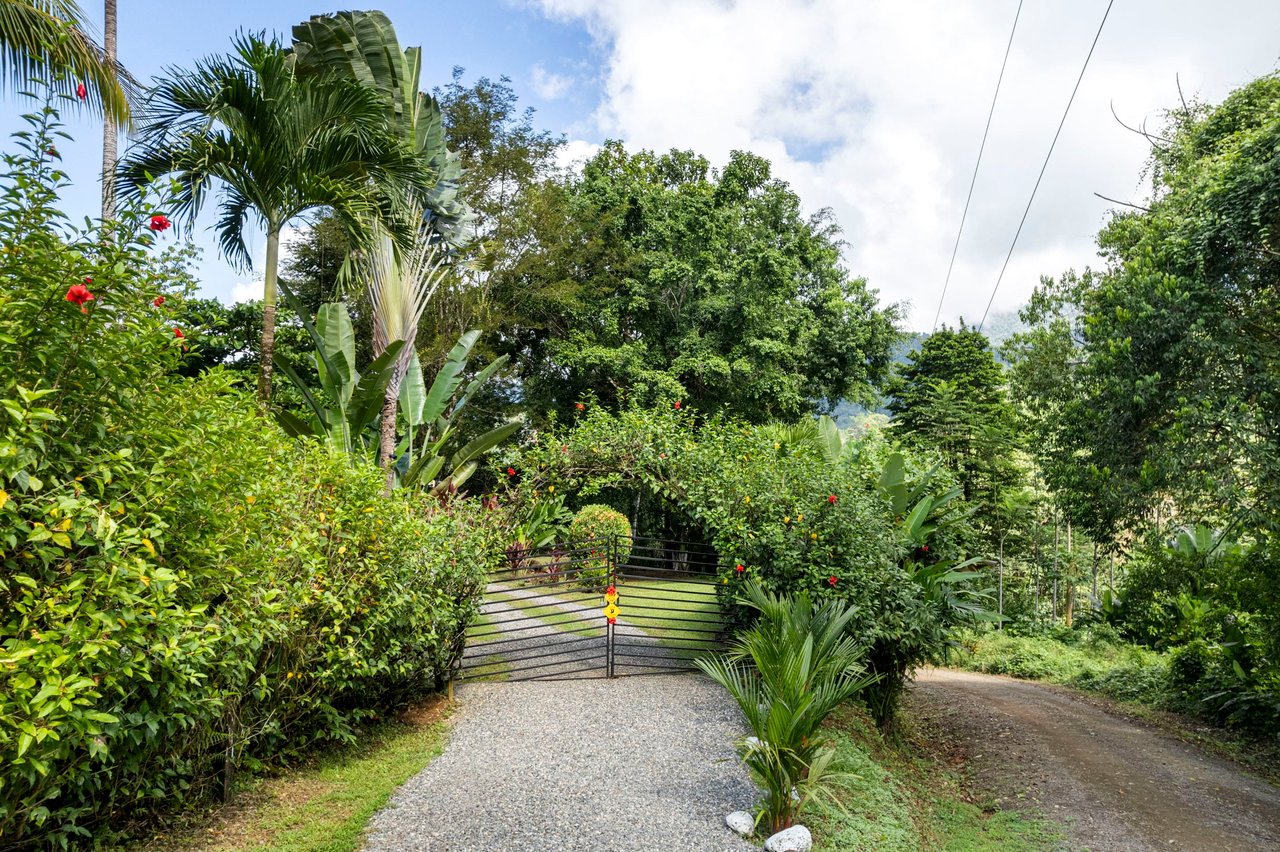 Cozy Sunset Ocean-View Bungalow On 3.5 Acres Of Jungle With Creeks, & Abundant Wildlife In Tres Rios Costa Rica