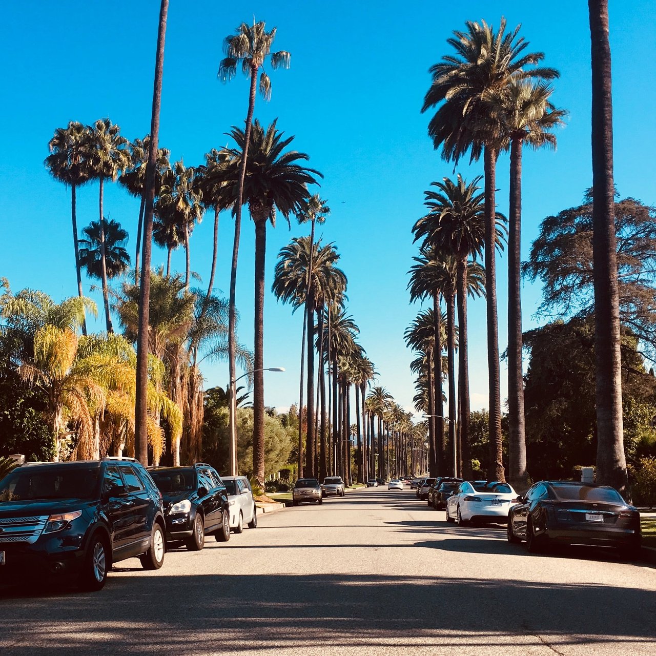 Beverly Hills