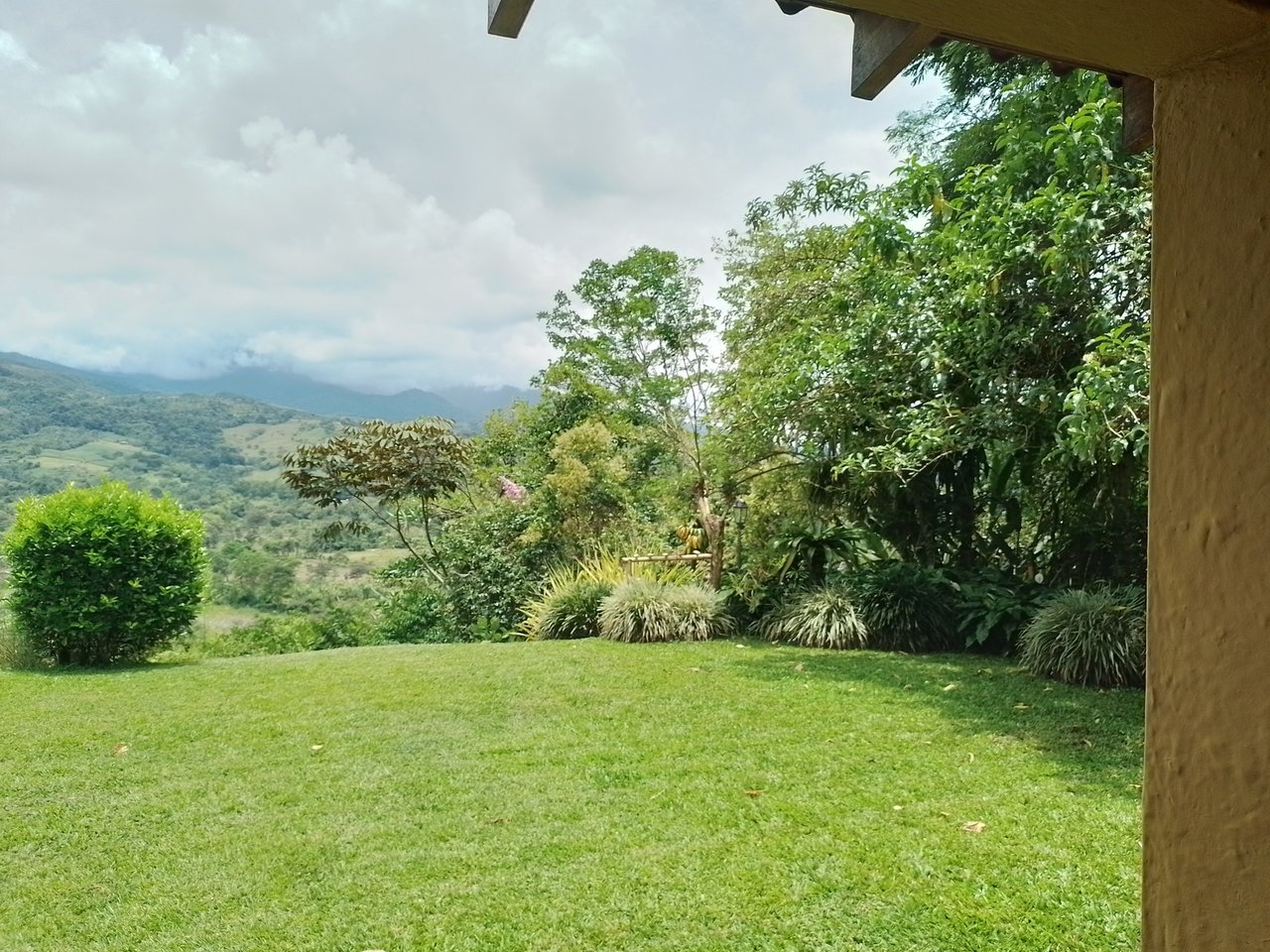 Coffee Farm Hacienda Estate, Perez Zeledon, San Jose