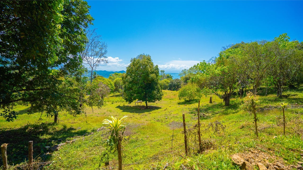 Prime Forest View Lot, Ojochal, Puntarenas