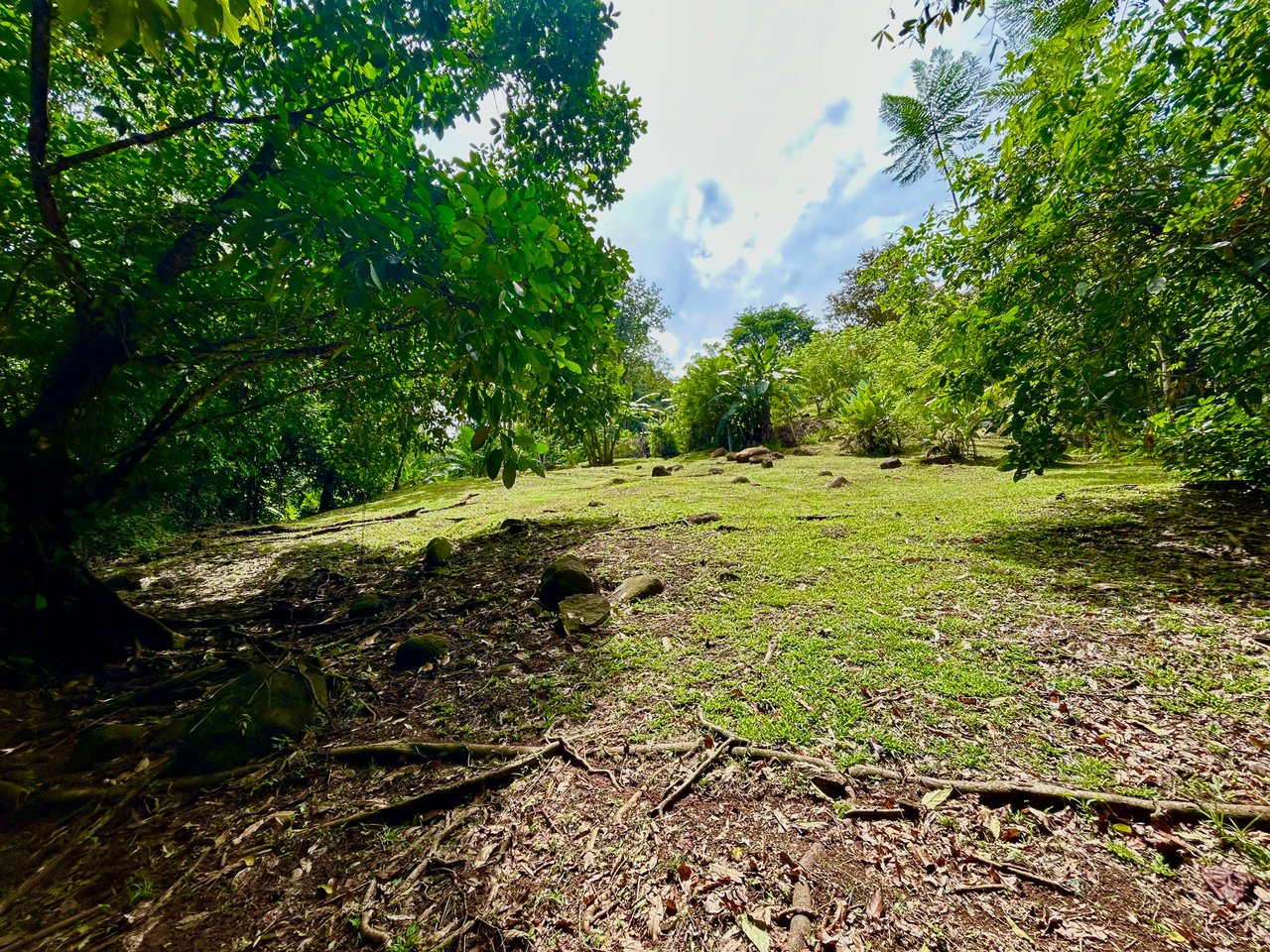 Secret Paradise Property in Altos de la Colonia