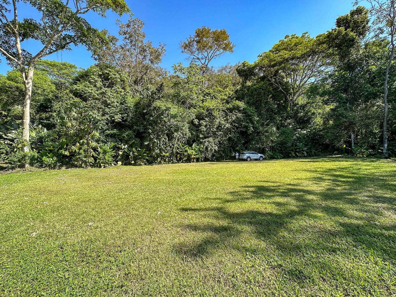 A prepared, 1.5 Acres jungle immersed lot with spectacular views of the Whale’s Tail. 