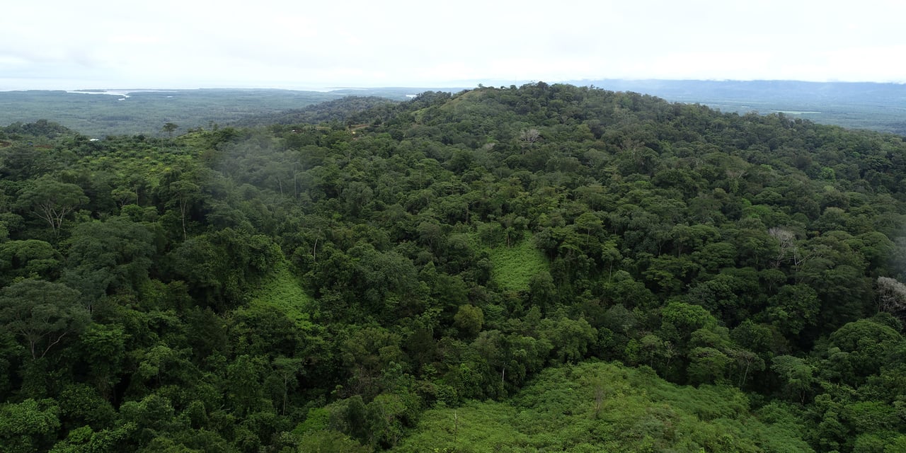 Rainforest Conservation Pasture Land, Osa, Puntarenas