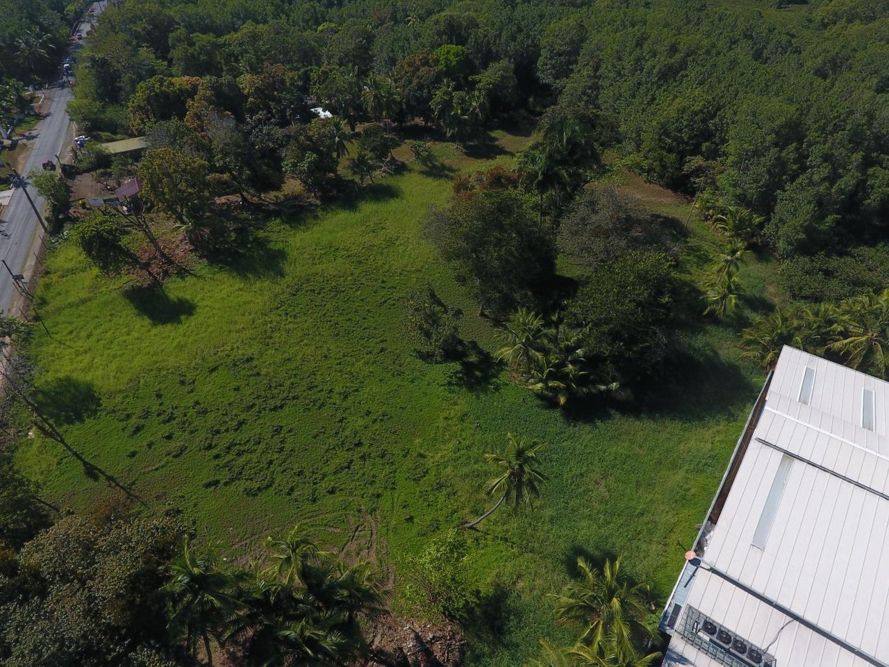 Quepos Commercial Property