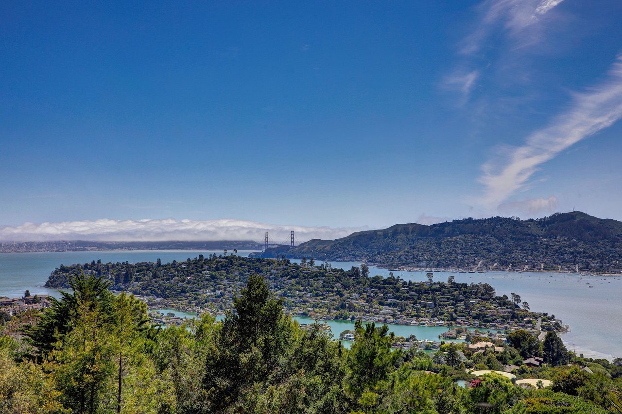 Extraordinary Tiburon Sanctuary