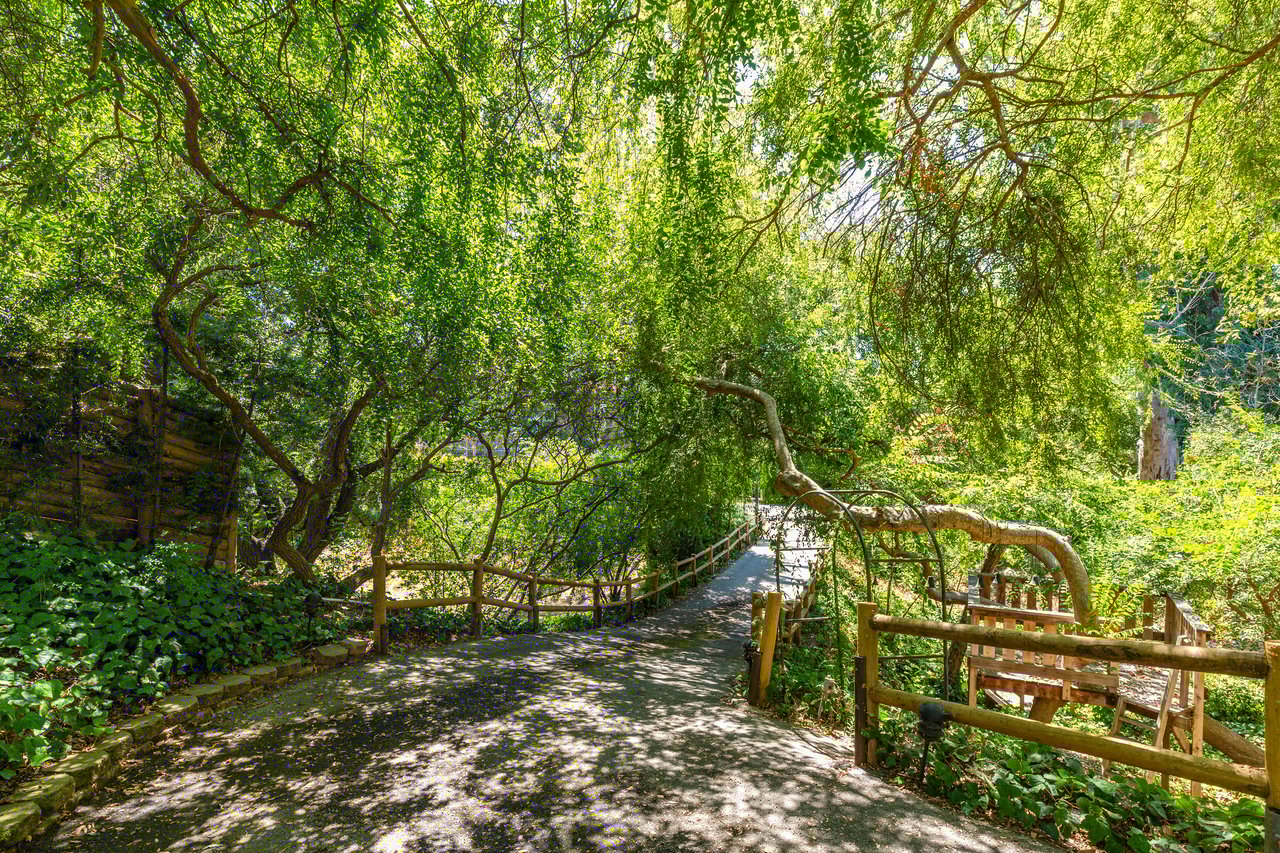 320 South Canyon View Drive