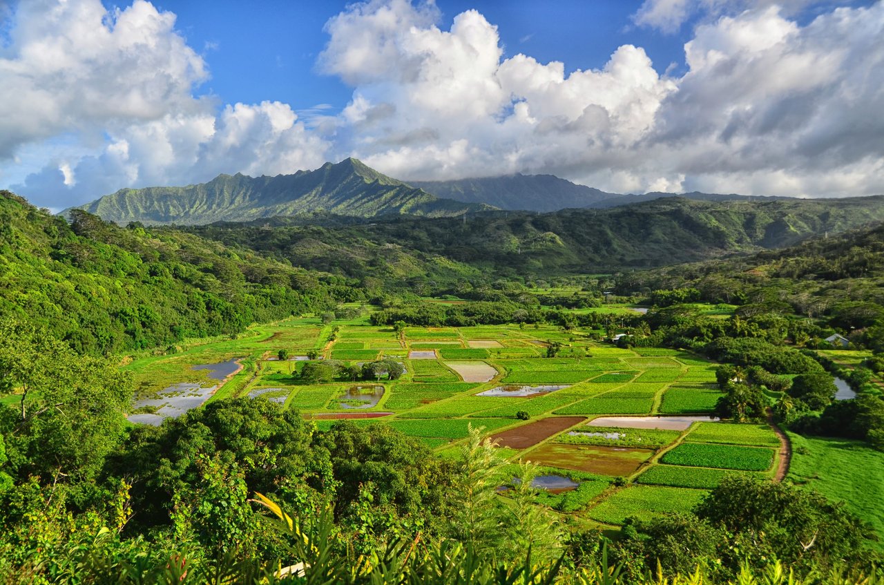 Kauai County Council Passes School Reopening Resolution