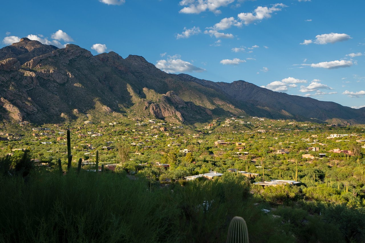 Expansive Mountain and City Views