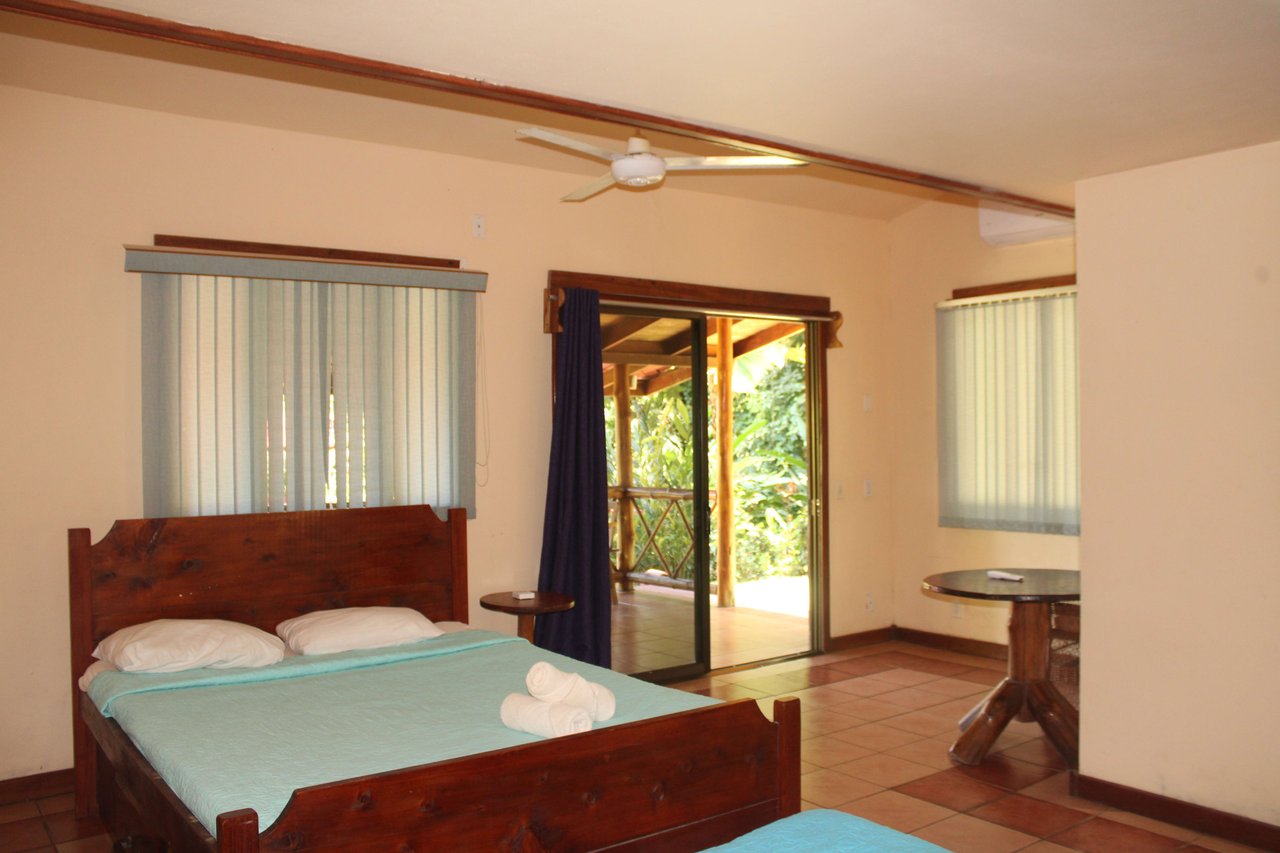Income Producing Property with Ocean View close to Dominical