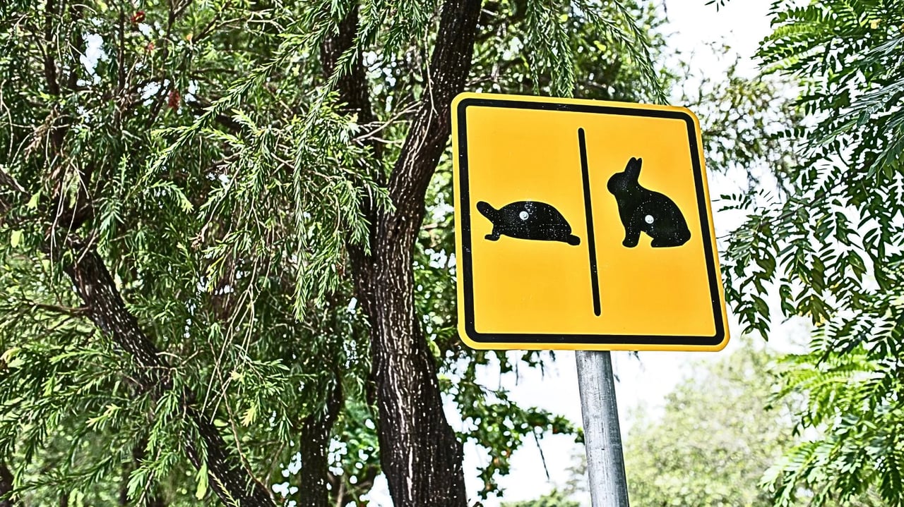 Consolidation is about speed, not size, as the fast eat the slow