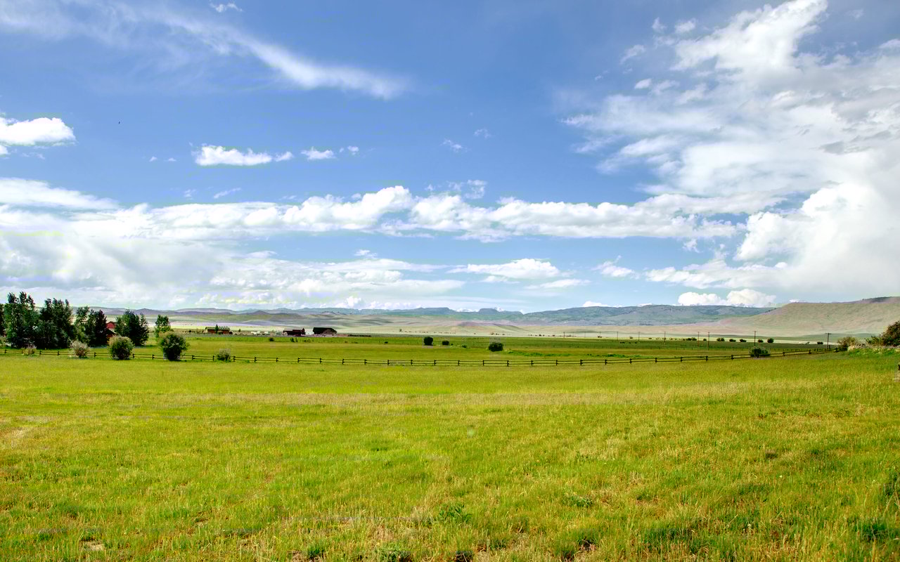 Pinedale