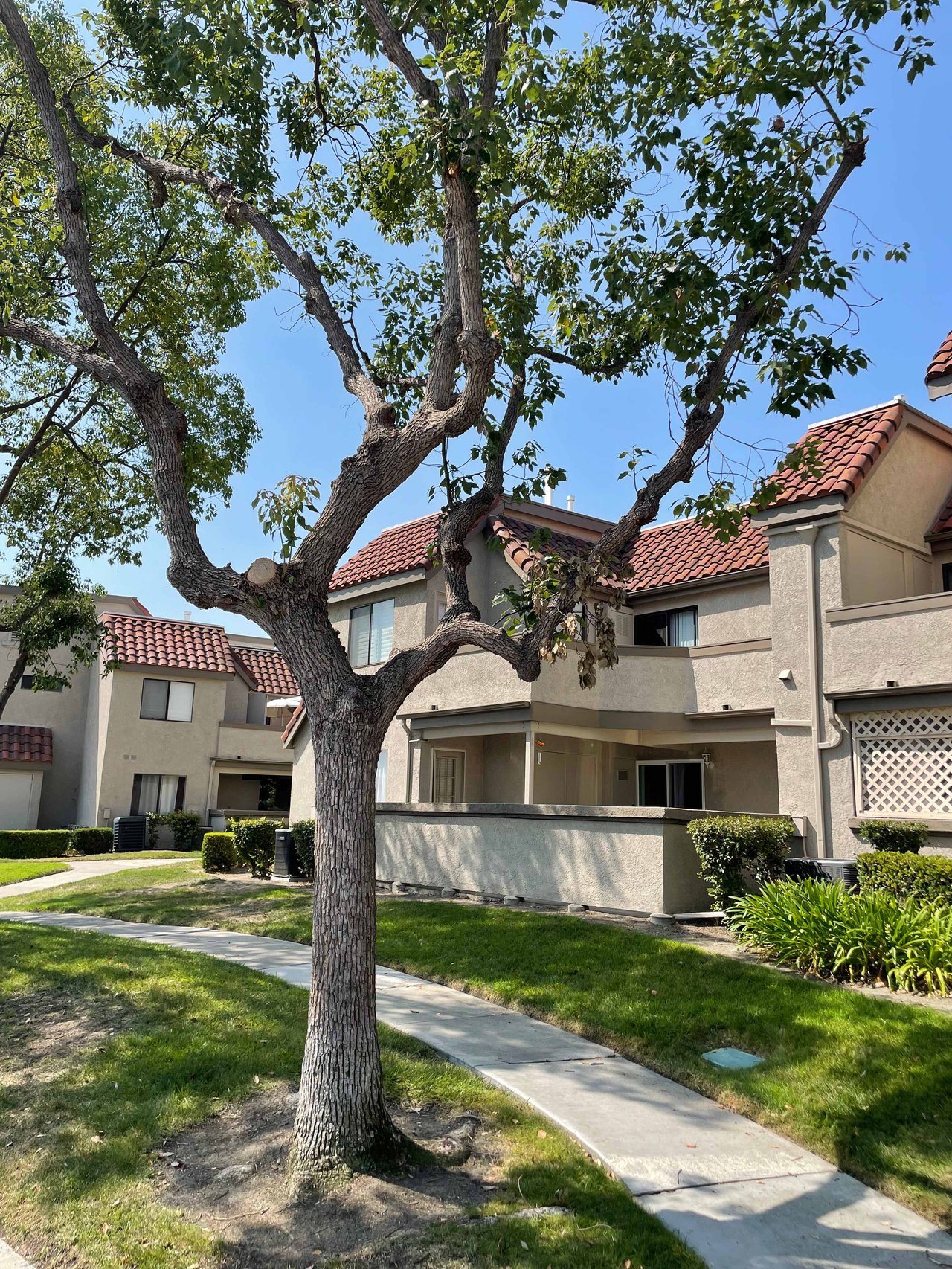 28101 Montecito #3