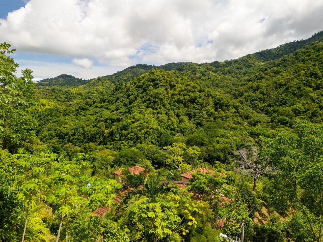 Waterfall Orchard Jungle Estate, Ojochal, Puntarenas