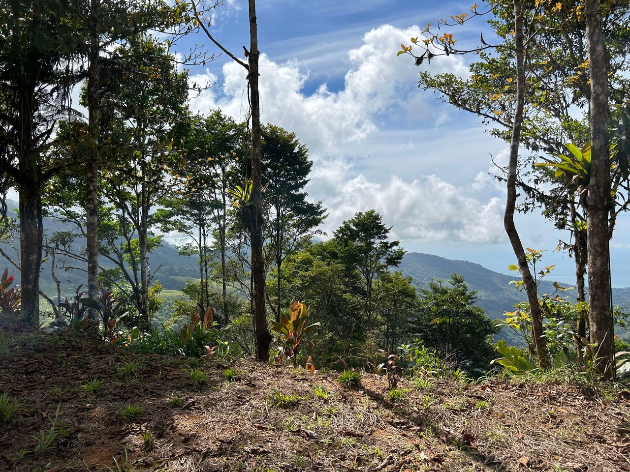 Whale Tail, Ocean & Mountain View lot in San Luis.
