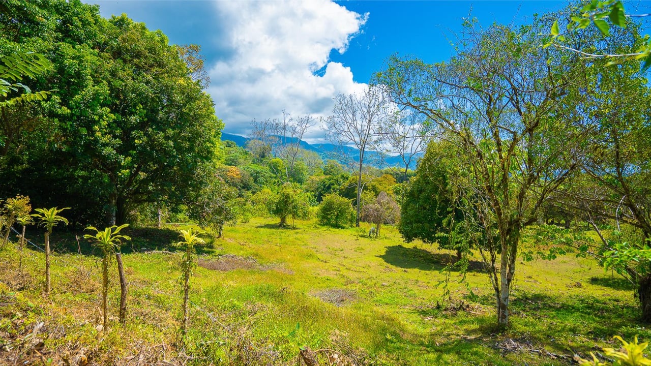 Prime Forest View Lot, Ojochal, Puntarenas
