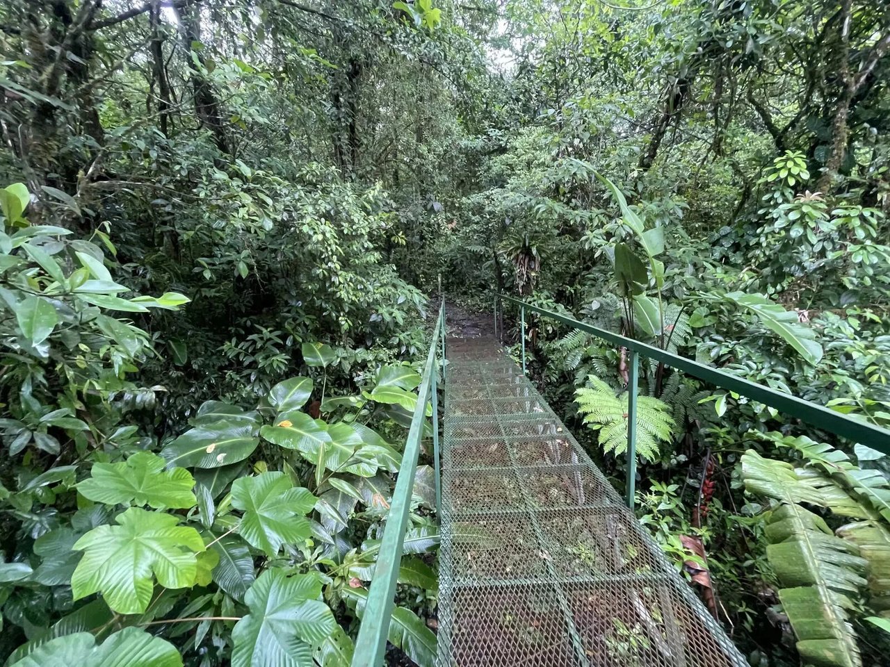 Adventure Tourism Development Land, Lake Arenal, Alajuela