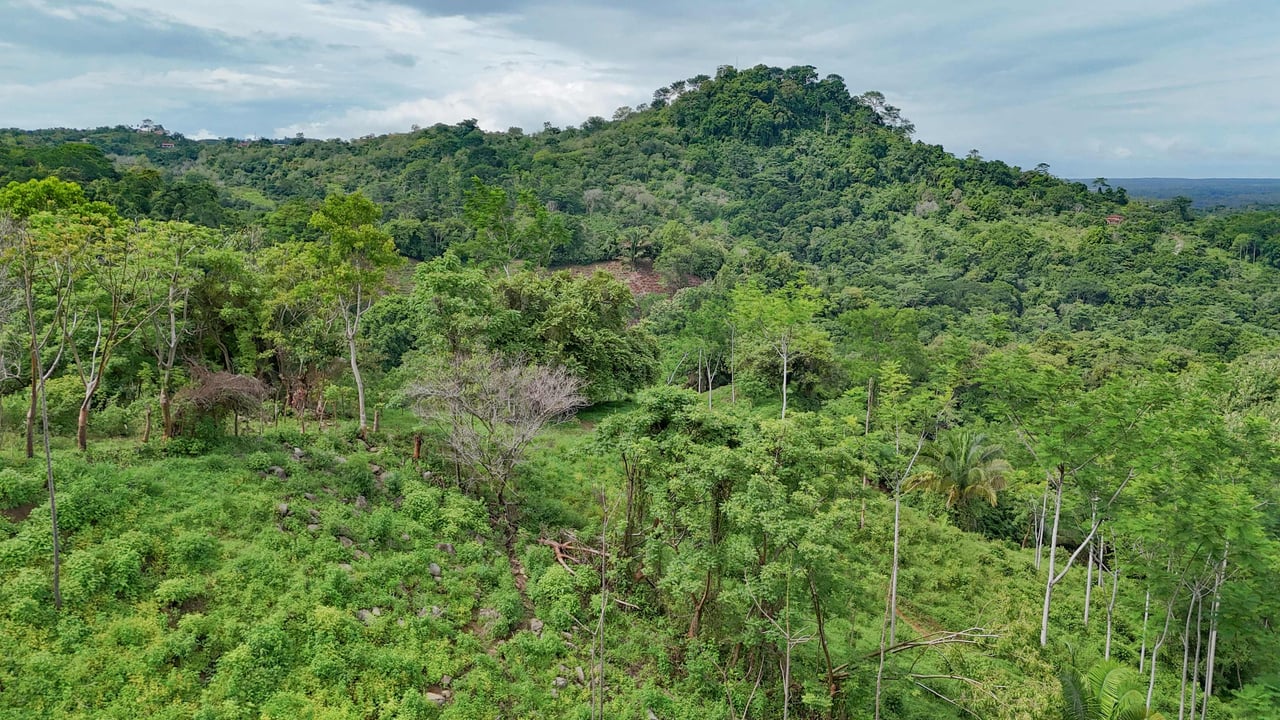 177 acre Ocean view property with multiple plantels, unspoiled mountain, jungle, river and waterfall areas