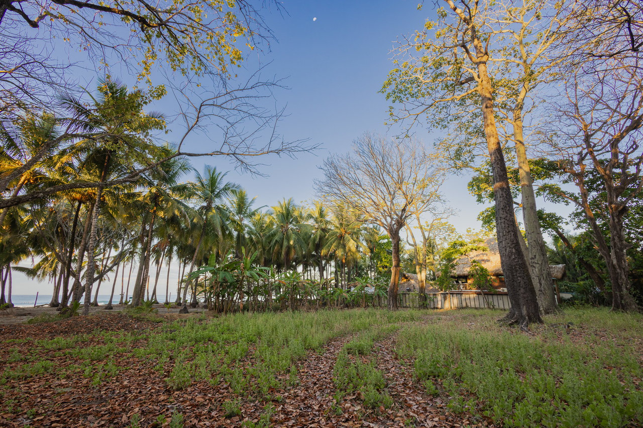 Prime Beachfront Concession Land, Santa Teresa, Puntarenas
