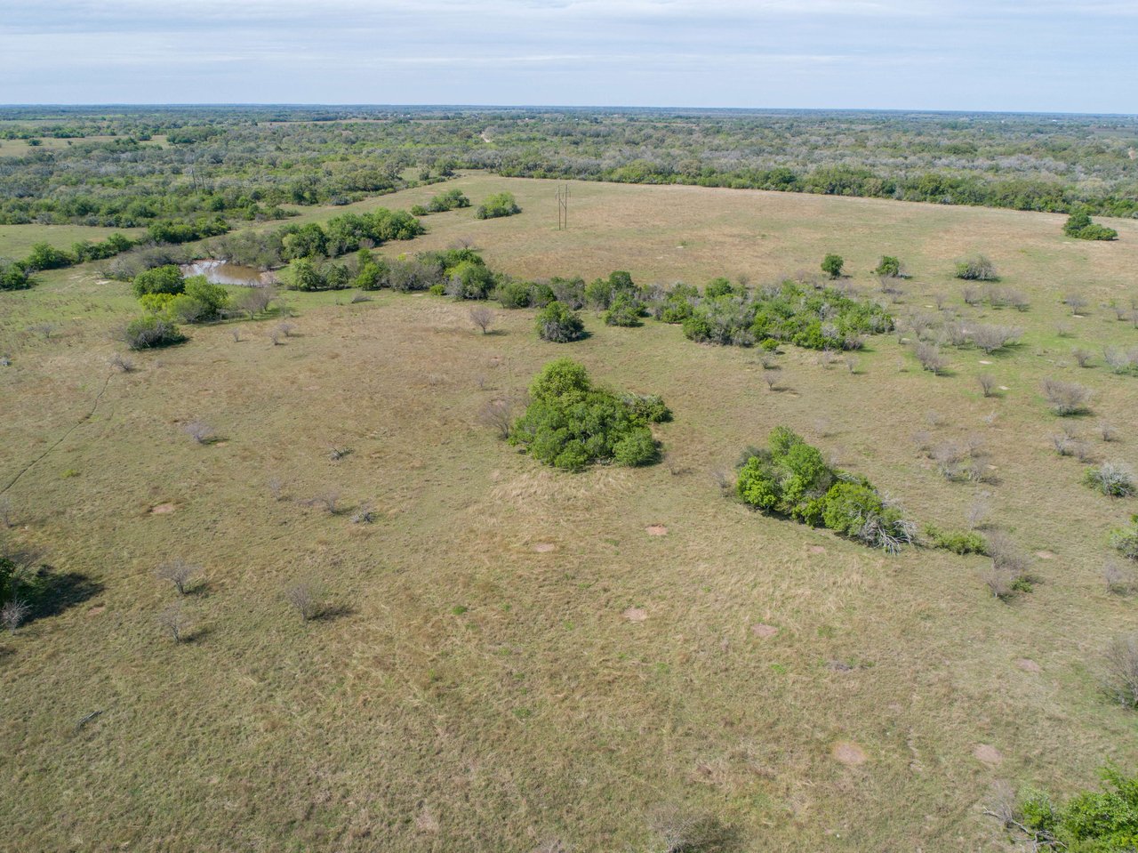 Weesatche 110 Acres