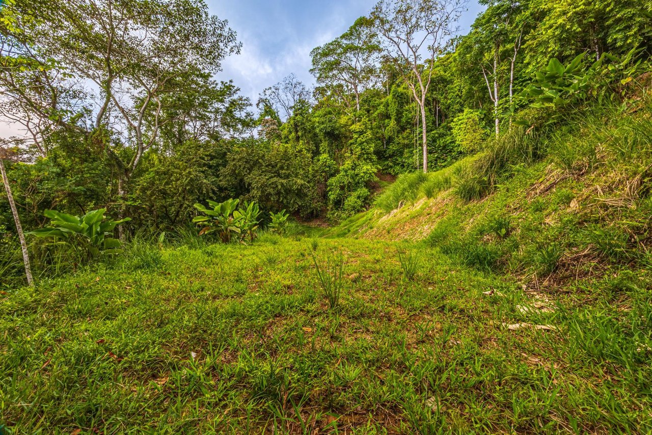 Premier Ocean View Development Land, Manuel Antonio, Puntarenas