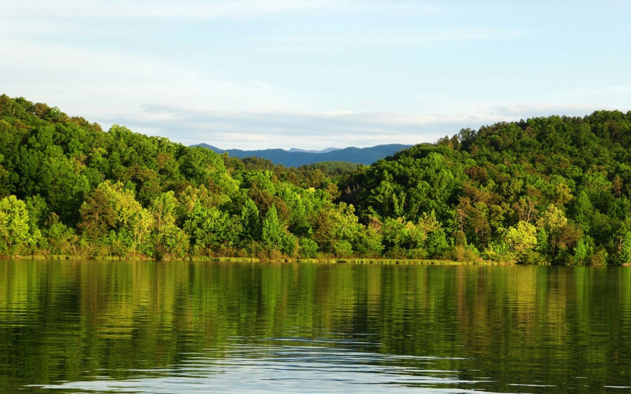 Tellico Lake