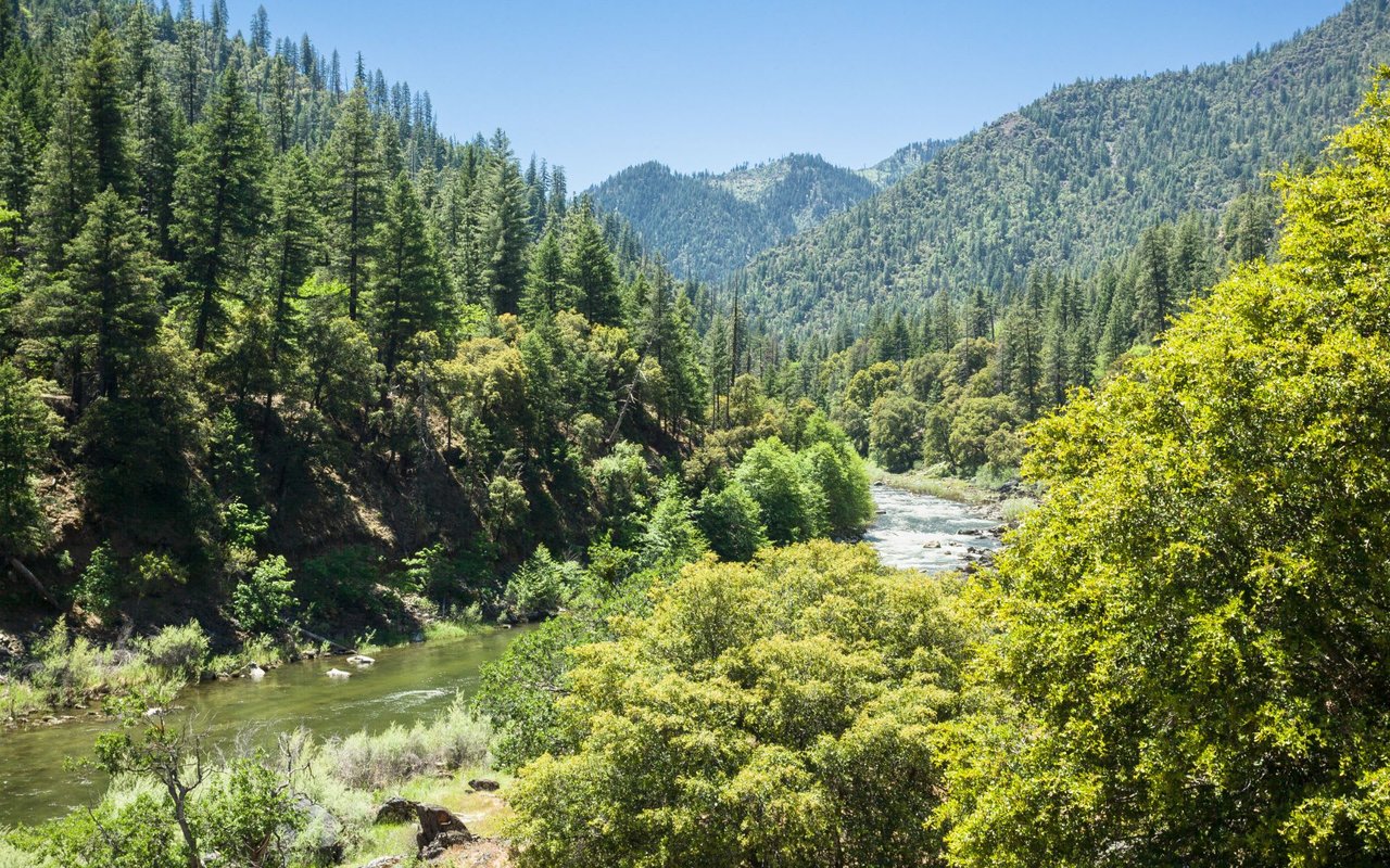 Scotts Valley