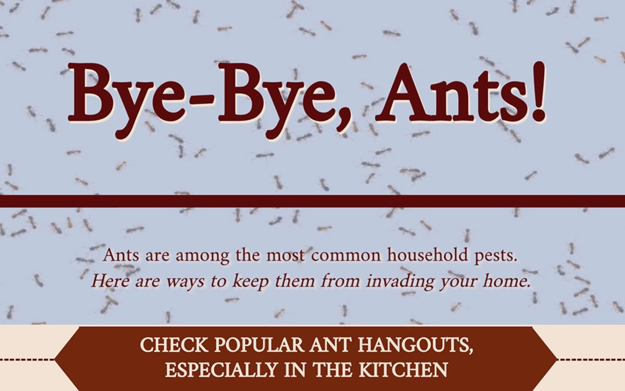 Bye-Bye, Ants!