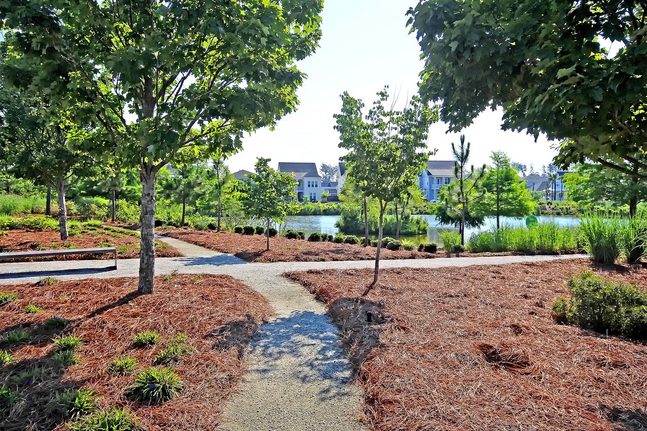 North Creek Village, Nexton - Summerville, SC