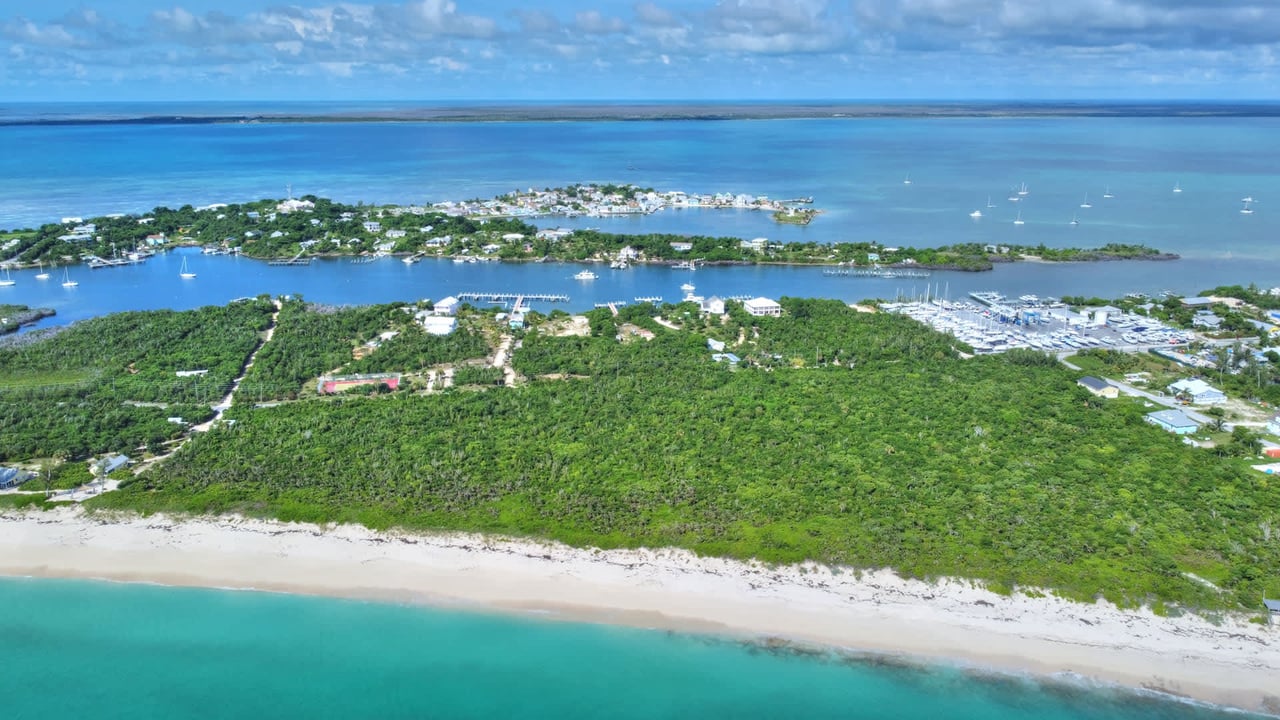 The Leeward Yacht Club Green