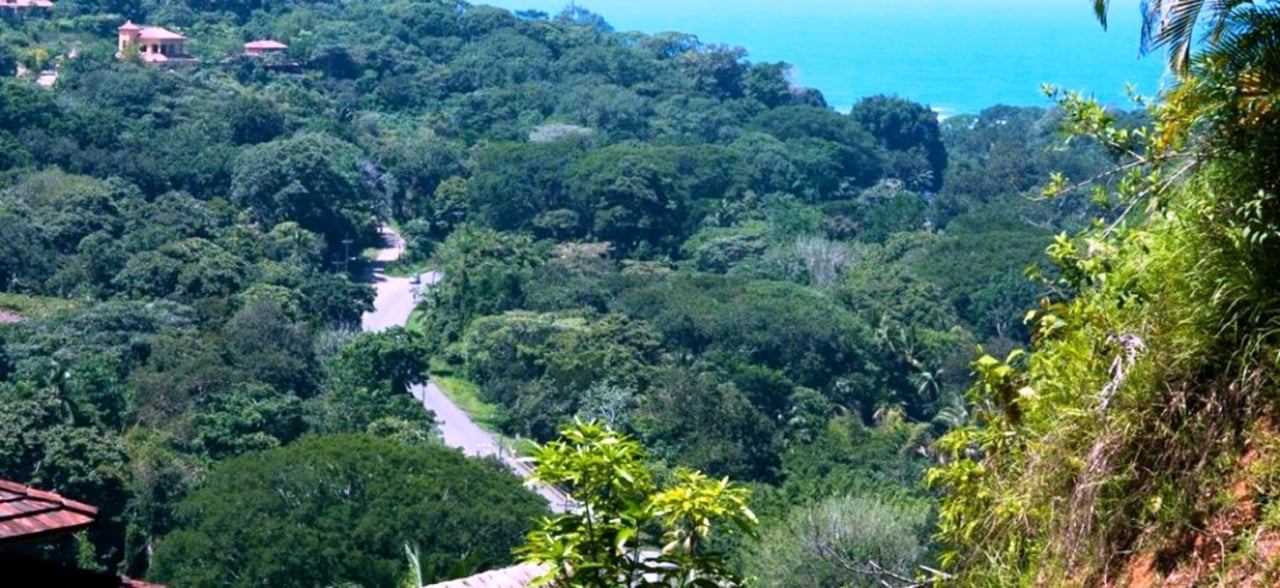 Gated Community Development Lot, Dominical, Puntarenas