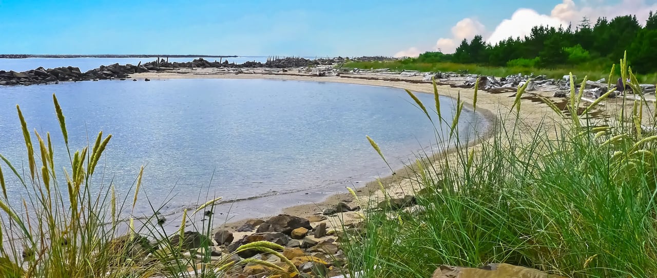 The bay side of the beach in the Barview Oregon neighborhood