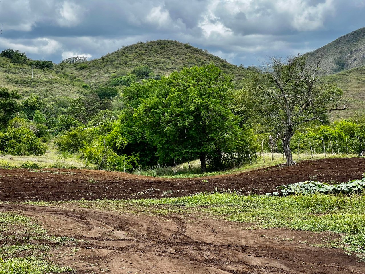 256  Acres  Precioso Coamo