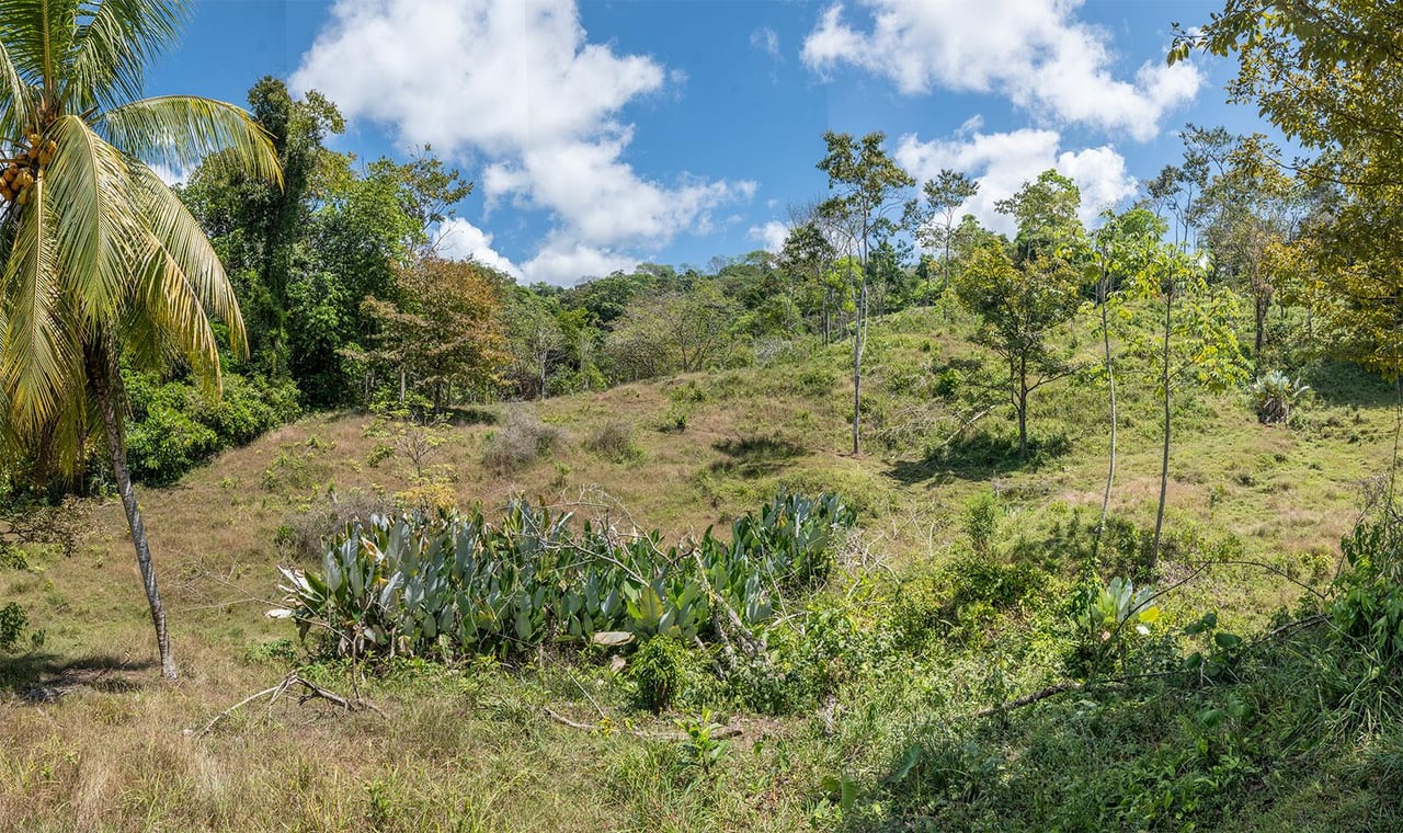 Prime Ocean and Whale tail View Development Land In Uvita