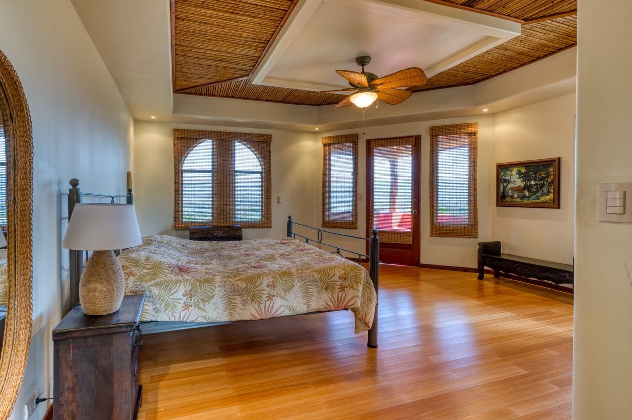 Grand Mountain View Estate, Perez Zeledon, San Jose