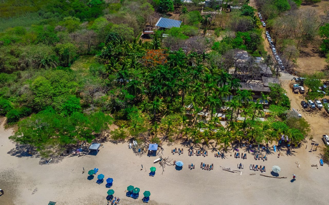 Playa Avellanas