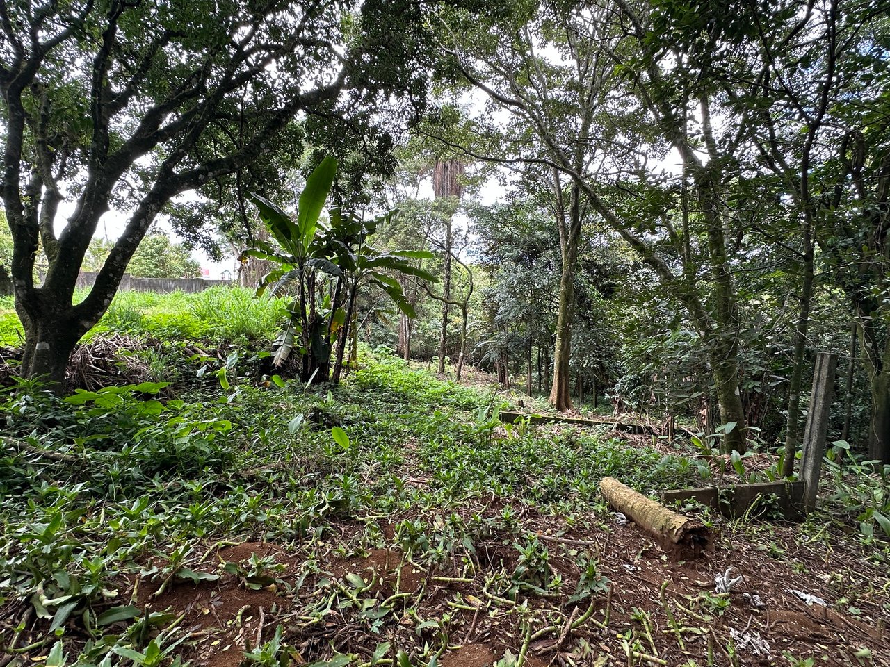 Lush Butterfly Garden Building Lot, Heredia