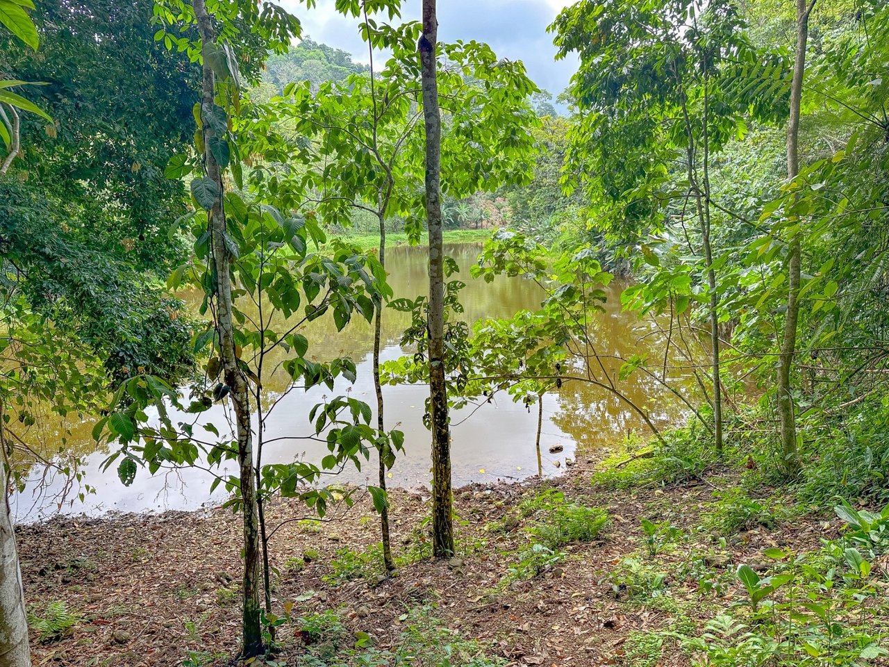 Waterfall Eco Resort Land, Dominical, Puntarenas