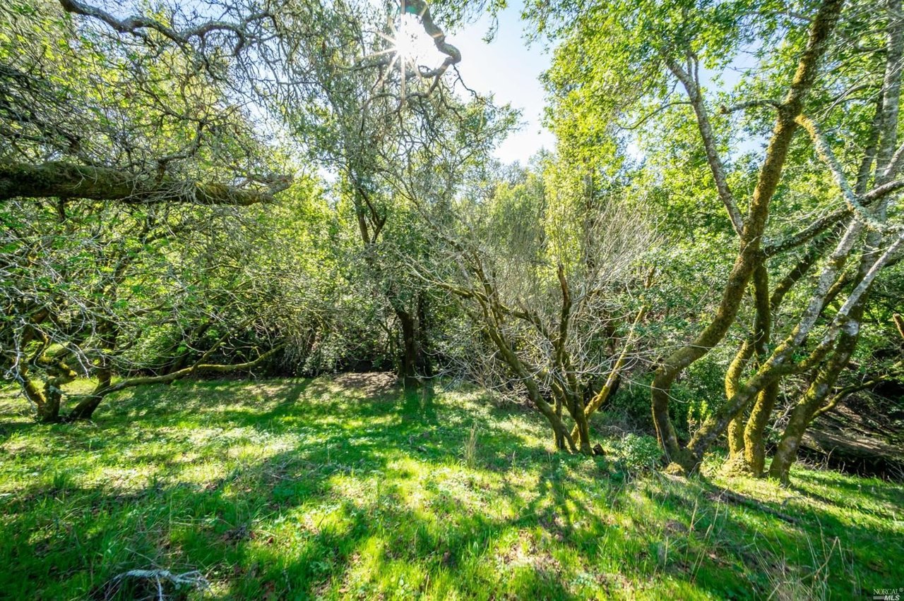 5289 Sonoma Mountain Rd
