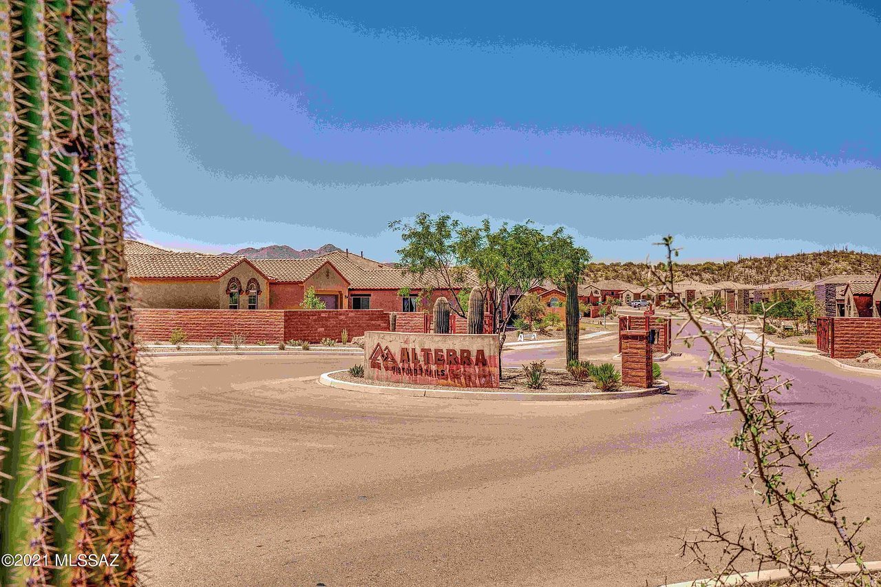 13471 N Mariposa Lily Dr
