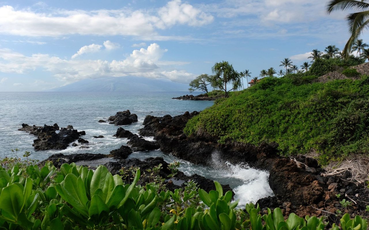 CENTRAL MAUI