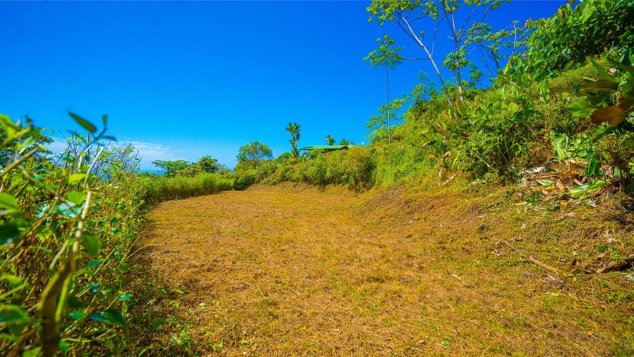 Flat Buildable Ocean View Lot, Ojochal, Puntarenas