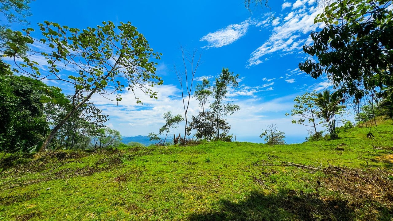 Ocean View Jungle Homesite, Ojochal, Puntarenas