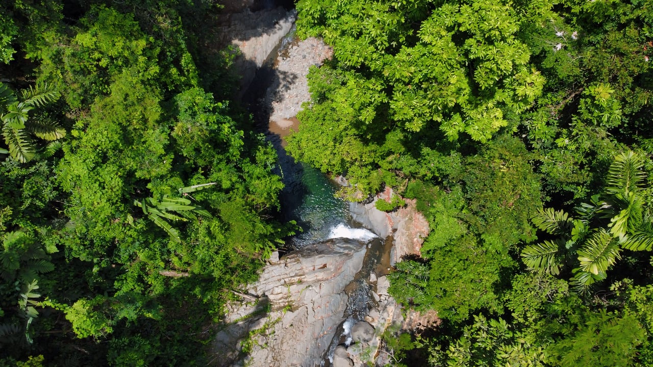 Finca Cerro del Tigre!   Over 20 Acres of Primary Forest and  Waterfalls. 