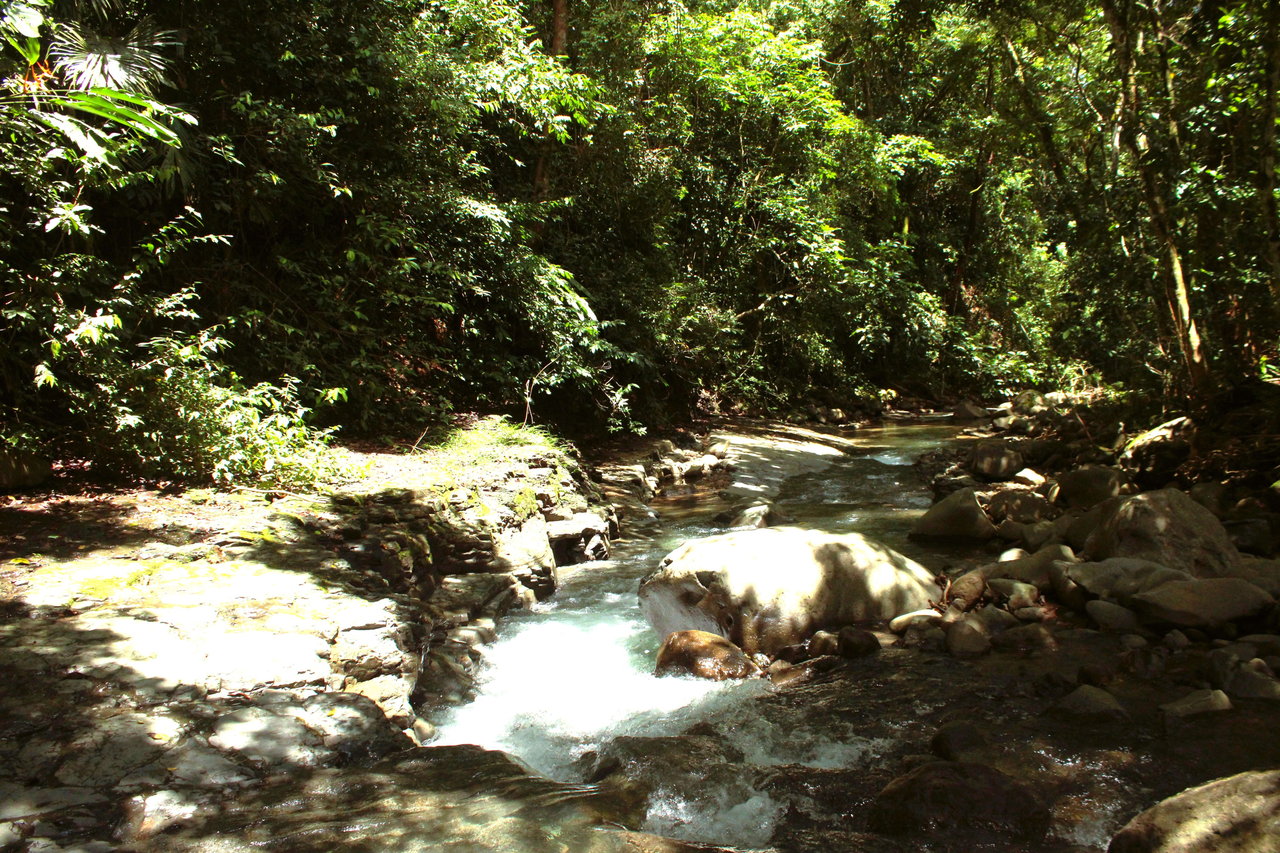 Wildlife Reserve Farm close to Ojochal