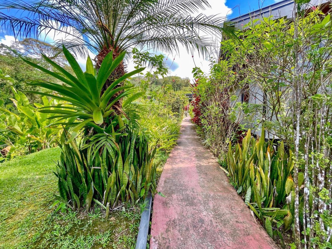 6 Bed Ocean View Estate, 2 Pools, Perfect for Air BnB, Hotel, or Family Compound, 2.24 Acres