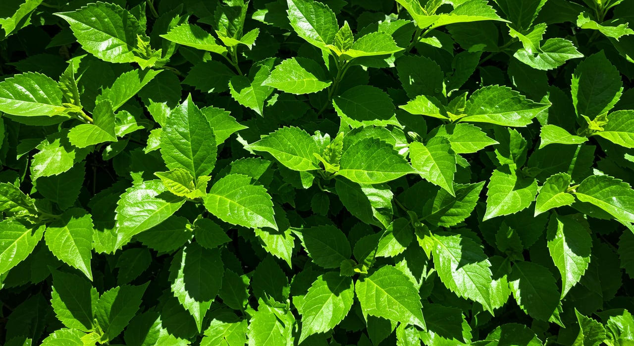 Reserva Conchal: Luxury Living in a Clean, Green Space