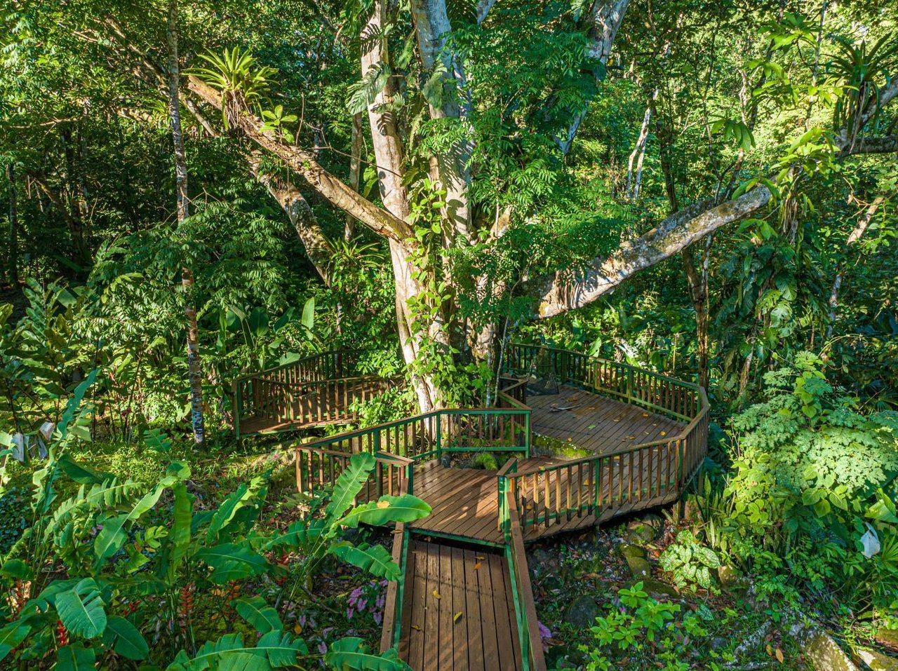 Uvita, Jungle Retreat Center on the Uvita River. Private and 17 Acres